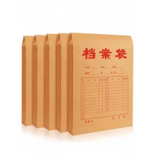 檔案袋進口紙