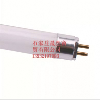 燈管1.2米長T8(25根）